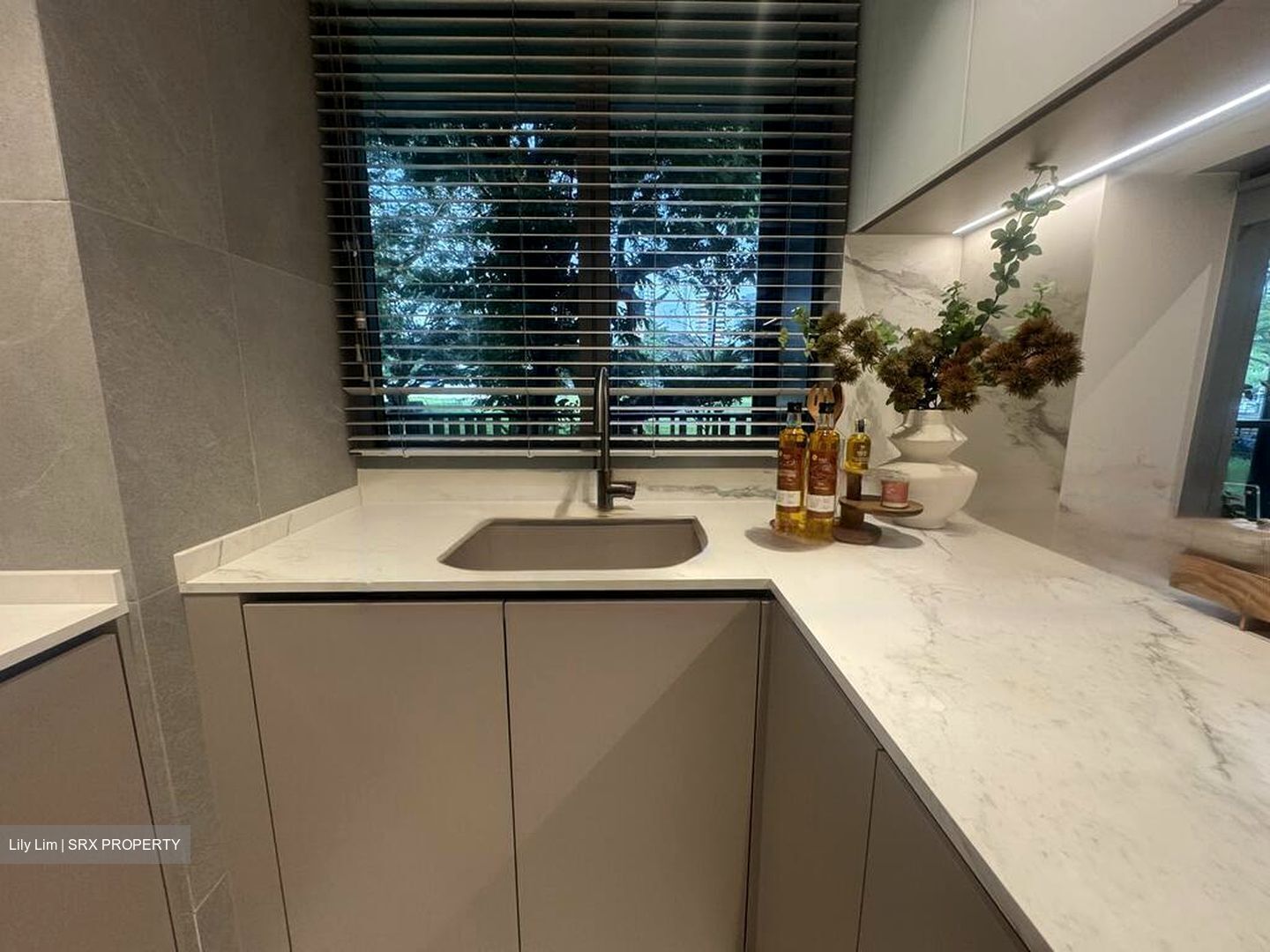 Zion Road (D3), Condominium #465634501